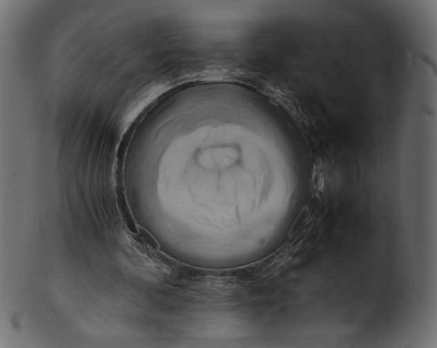 X0000100880292200807181305