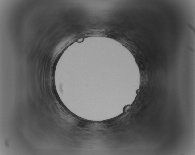 X0000100880293200807181305