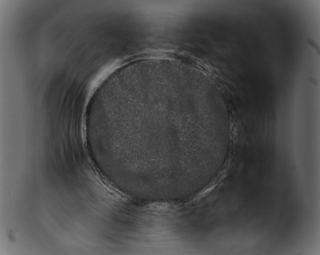 X0000100880294200807181305