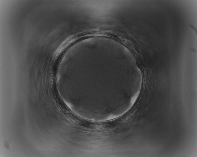 X0000100880295200807181305