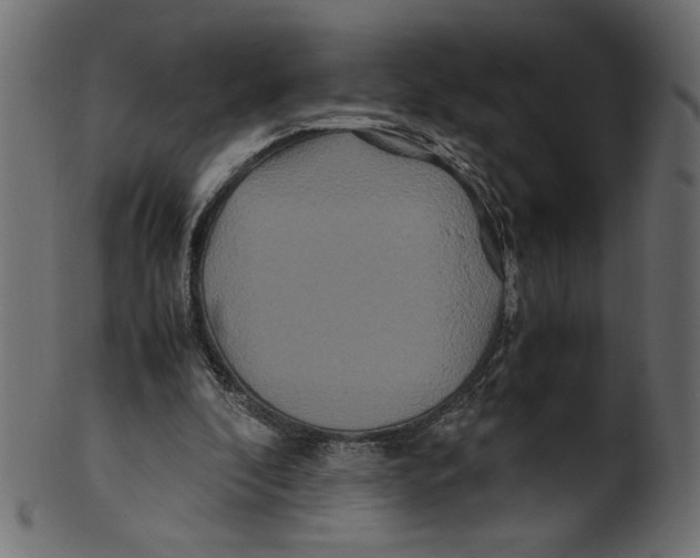 X0000100880296200807181305