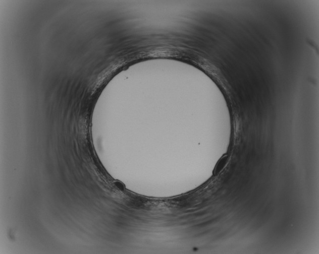 X0000100880297200807181305