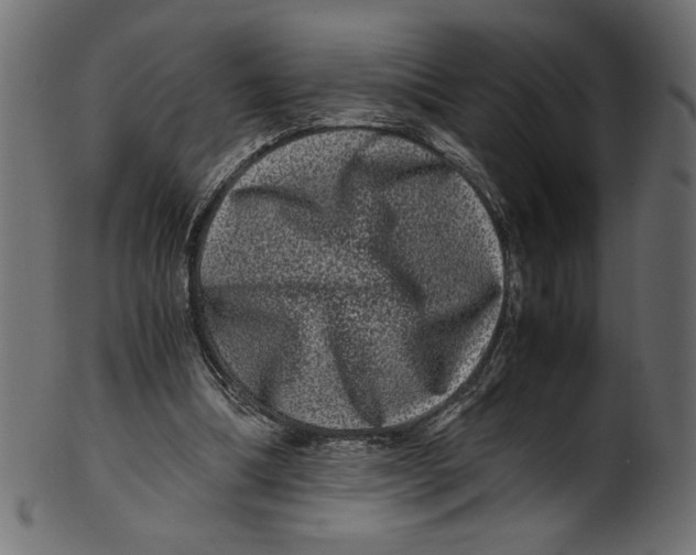 X0000100880298200807181305