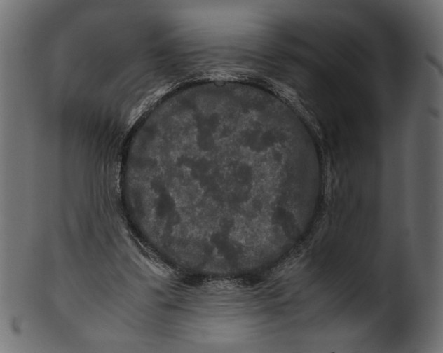 X0000100880299200807181305