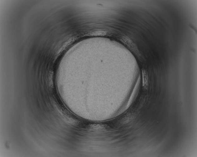 X0000100880300200807181305