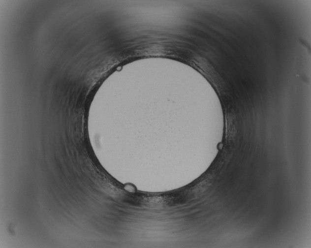 X0000100880301200807181305