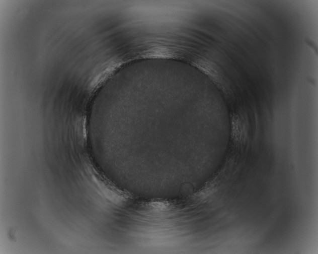 X0000100880302200807181305