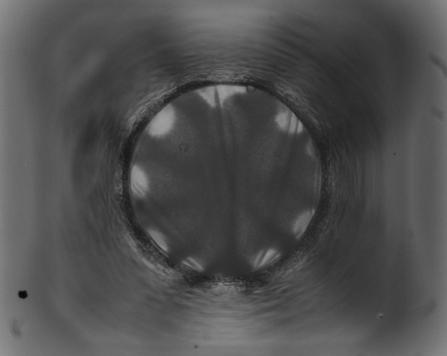 X0000100880303200807181305