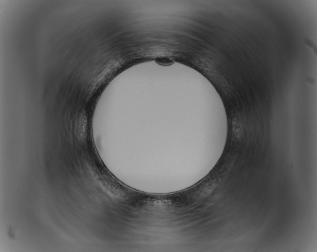 X0000100880304200807181305