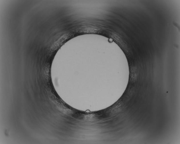 X0000100880309200807181305