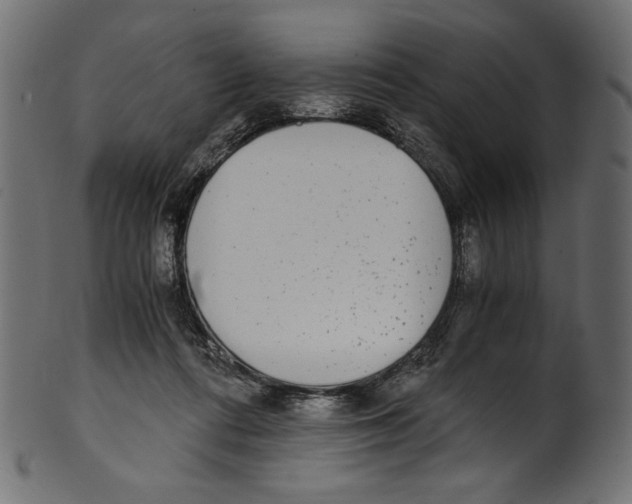 X0000100880312200807181305