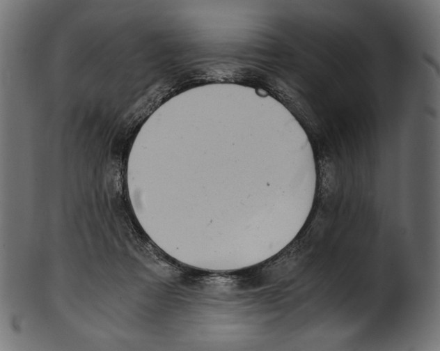 X0000100880313200807181305