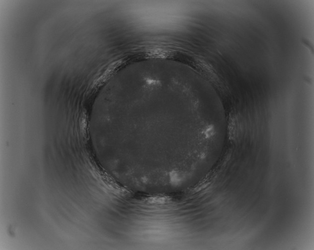 X0000100880314200807181305