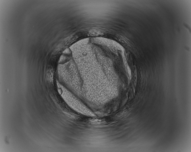 X0000100880315200807181305