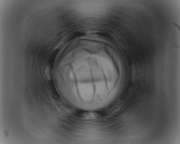 X0000100880316200807181305