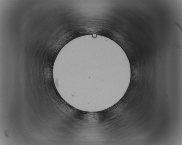 X0000100880317200807181305