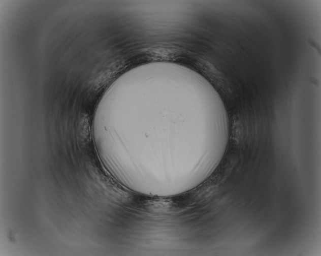 X0000100880318200807181305