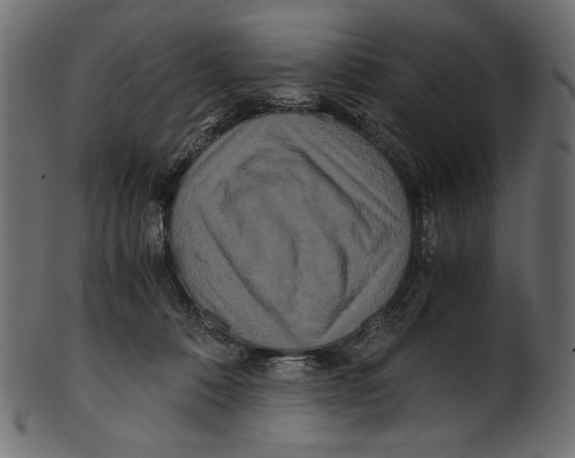 X0000100880320200807181305