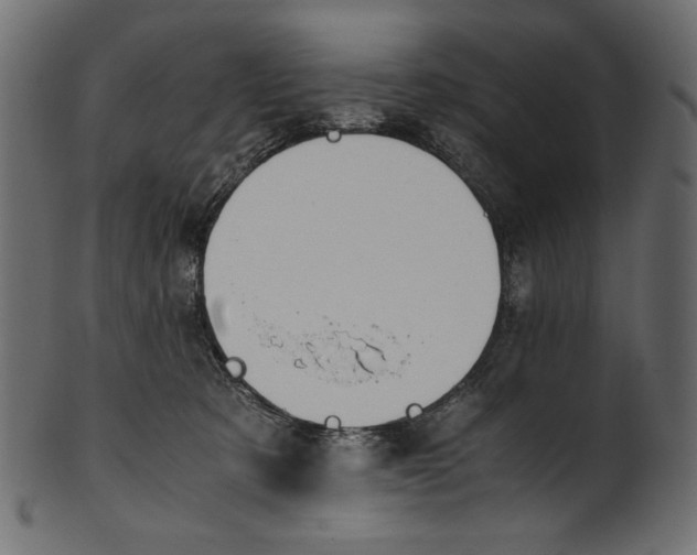 X0000100880321200807181305