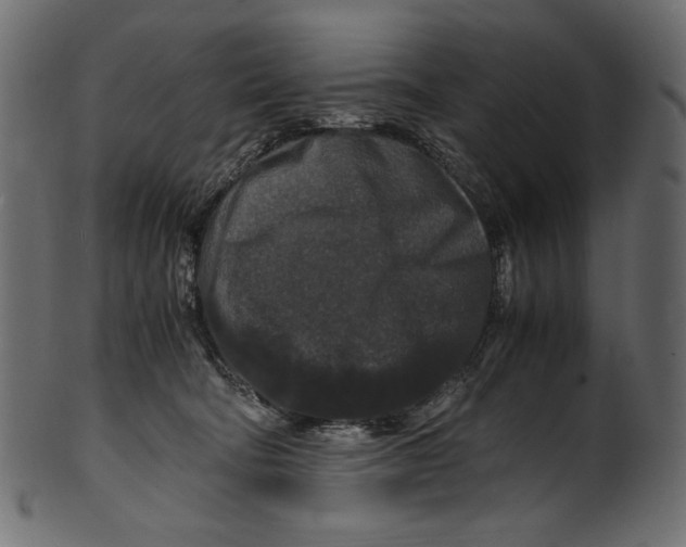 X0000100880322200807181305