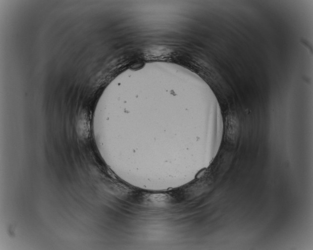 X0000100880324200807181305