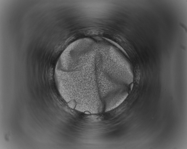 X0000100880326200807181305