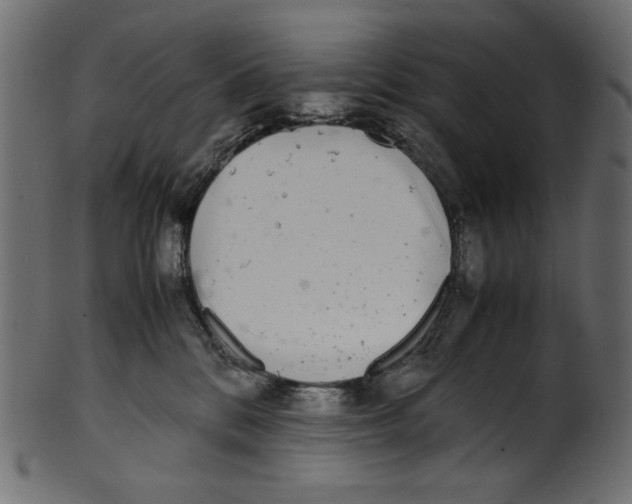 X0000100880328200807181305