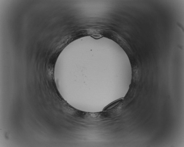 X0000100880329200807181305