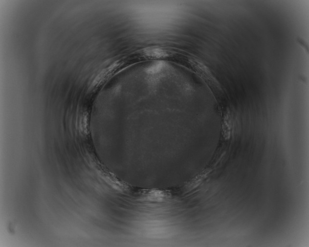 X0000100880330200807181305