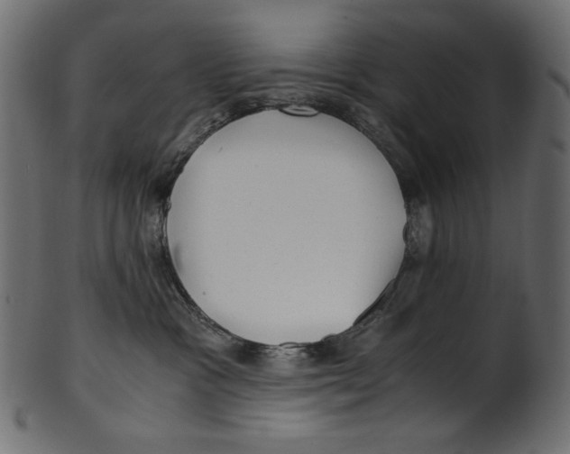 X0000100880333200807181305