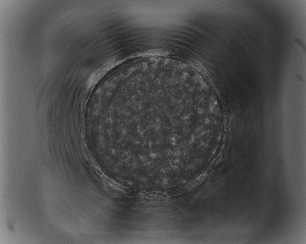 X0000100880337200807181304