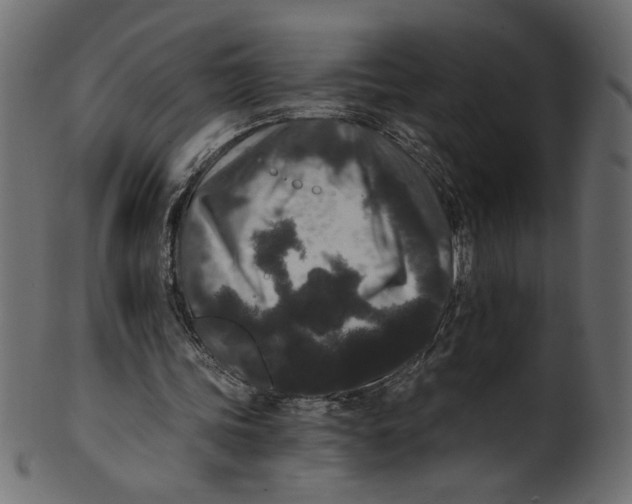 X0000100880339200807181304