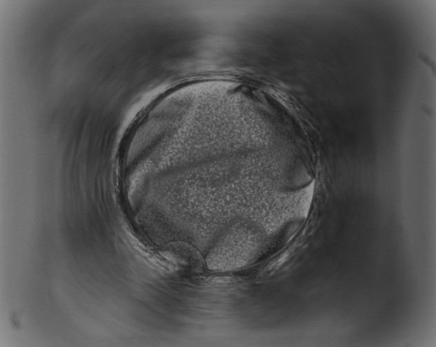 X0000100880342200807181304