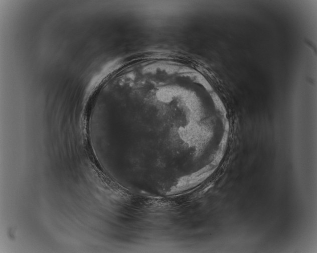 X0000100880343200807181304