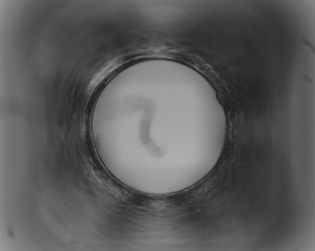 X0000100880344200807181304