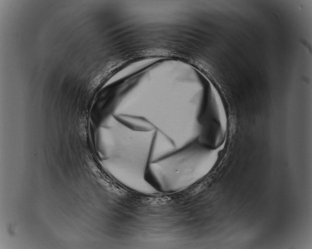 X0000100880345200807181304