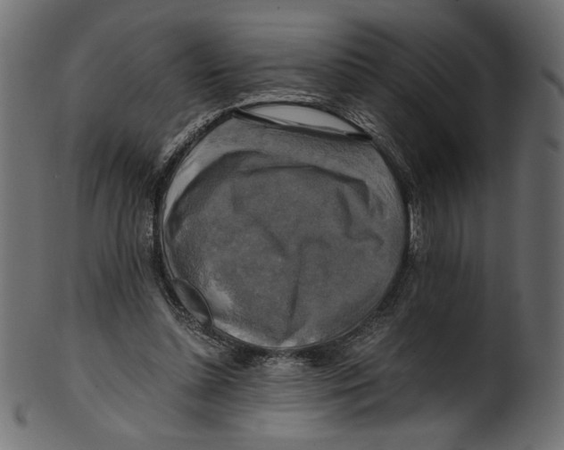 X0000100880348200807181304