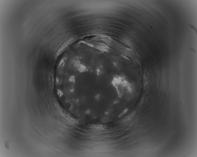 X0000100880349200807181304