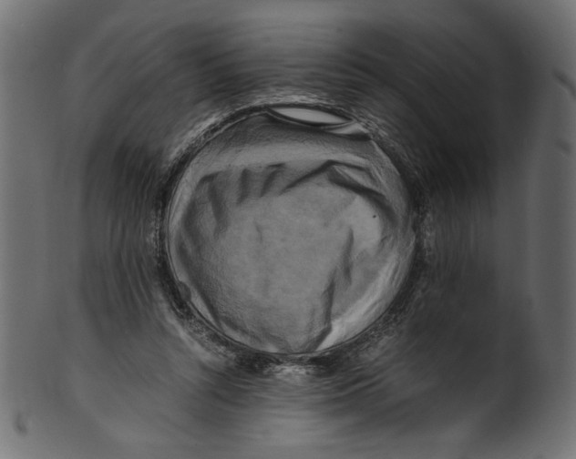 X0000100880352200807181304