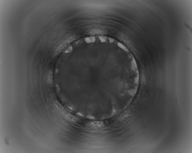 X0000100880353200807181304