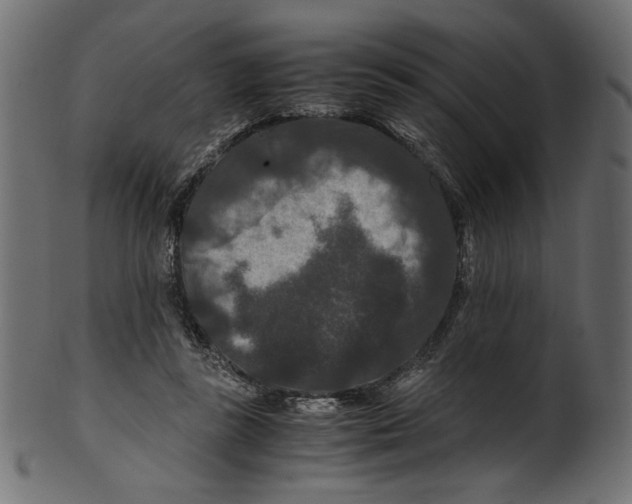 X0000100880355200807181304