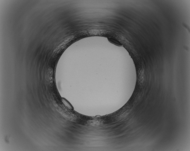 X0000100880356200807181304