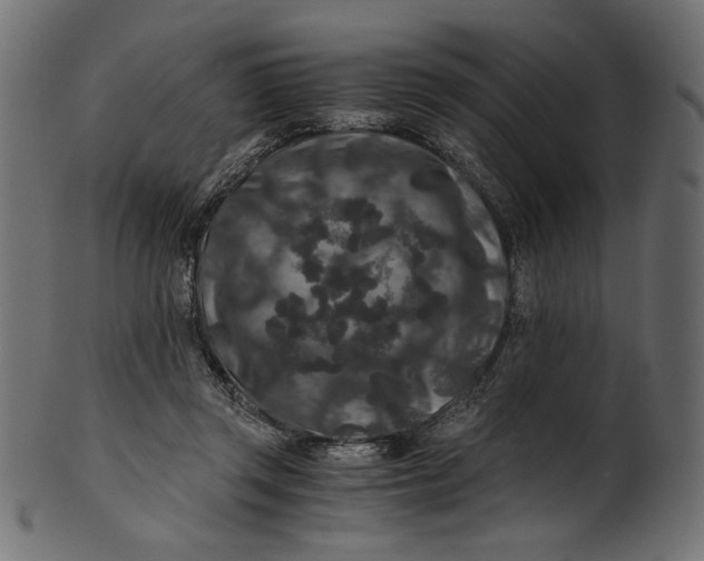 X0000100880357200807181304