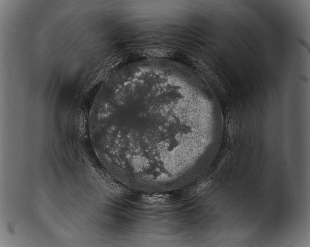 X0000100880359200807181304