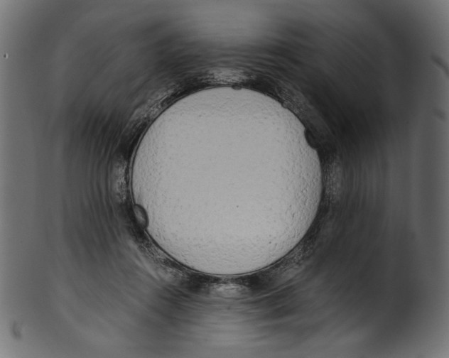 X0000100880360200807181304