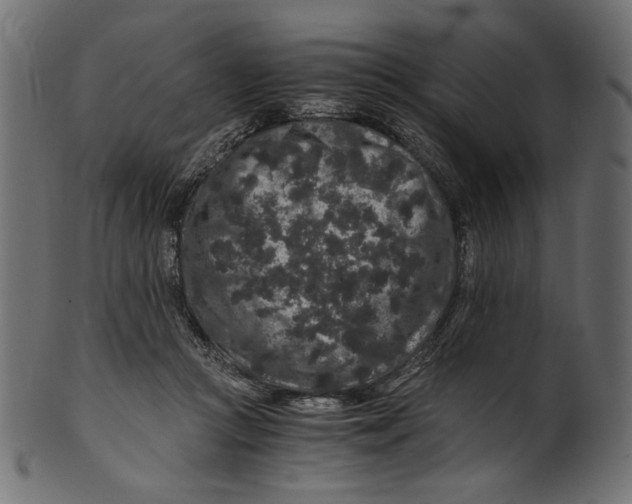 X0000100880361200807181304