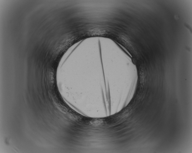 X0000100880362200807181304