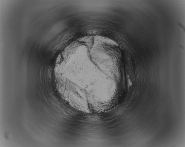 X0000100880363200807181304