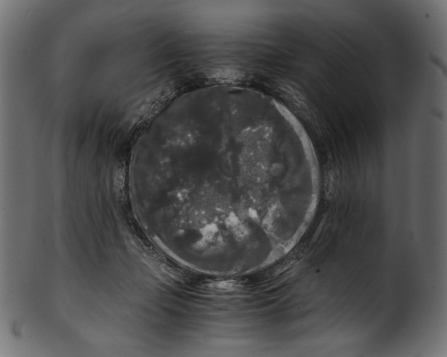 X0000100880365200807181304