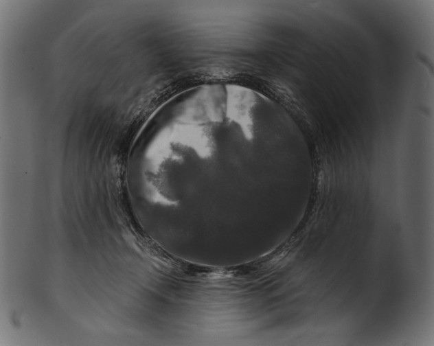 X0000100880366200807181304